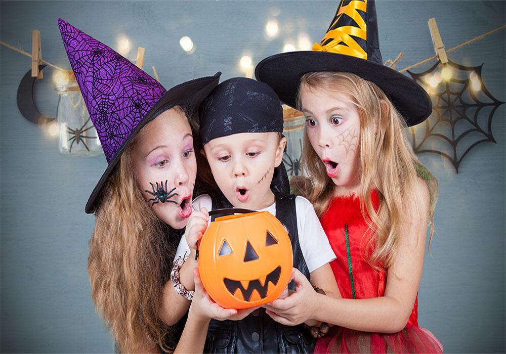 Sfondo Di Halloween Con Bottiglia Di Pipistrello E Ragno Per La Fotografia DBD-19008