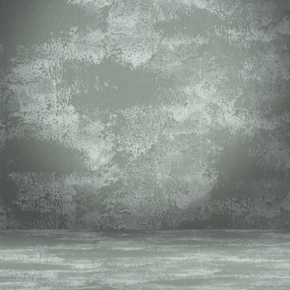 Sfondo Grigio Ritratto Sfondo Da Parete Con Texture Lunatica BRP-11-617