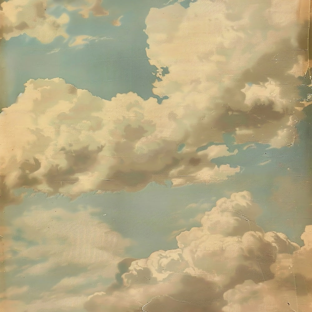 Sfondo Ritratto Cielo Blu Decor Sfondo Muro Nuvoloso BRP-11-639