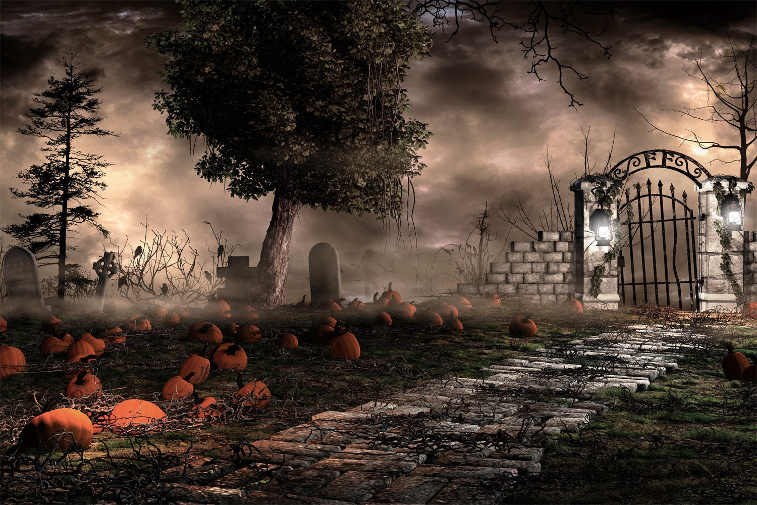Sfondo Di Halloween Fotografia Spooky Graveyard Zucche Nebbia Sfondo BRP10-174