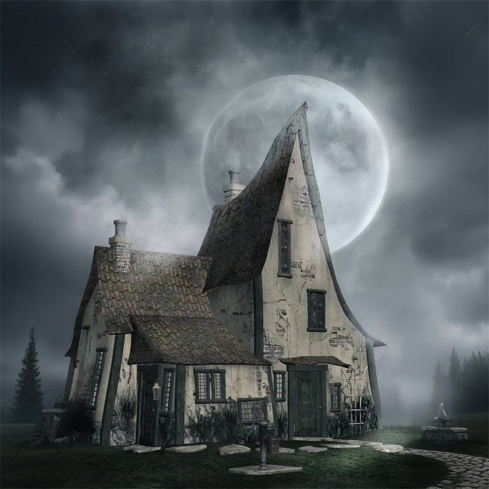 Sfondo Per Halloween Haunted House Misty Moonlight Sfondo BRP10-221