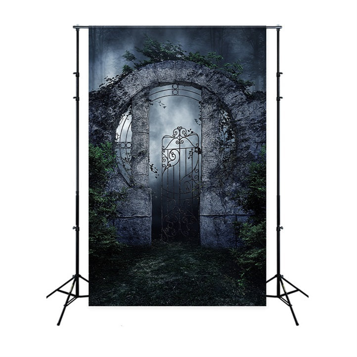 Fotografia Sfondo Di Halloween Spooky Iron Gate Vines Sfondo BRP10-223