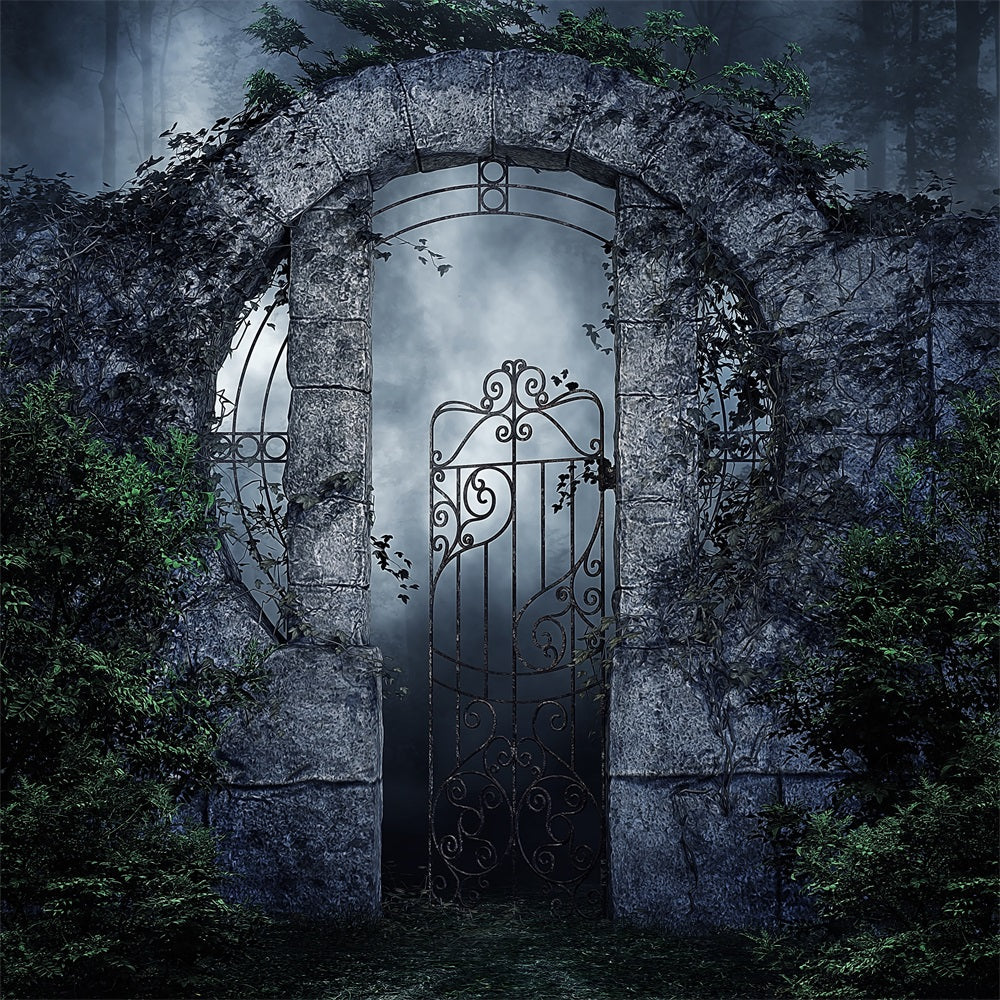 Fotografia Sfondo Di Halloween Spooky Iron Gate Vines Sfondo BRP10-223