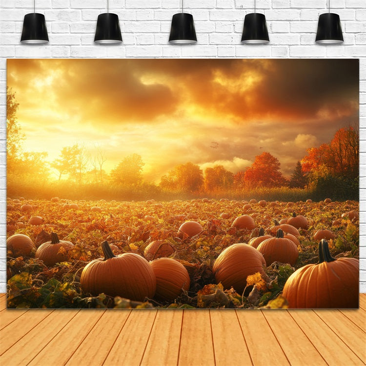 Fondali Autunnali Sfondo Con Patch Di Zucca Bagliore Al Tramonto BRP10-242