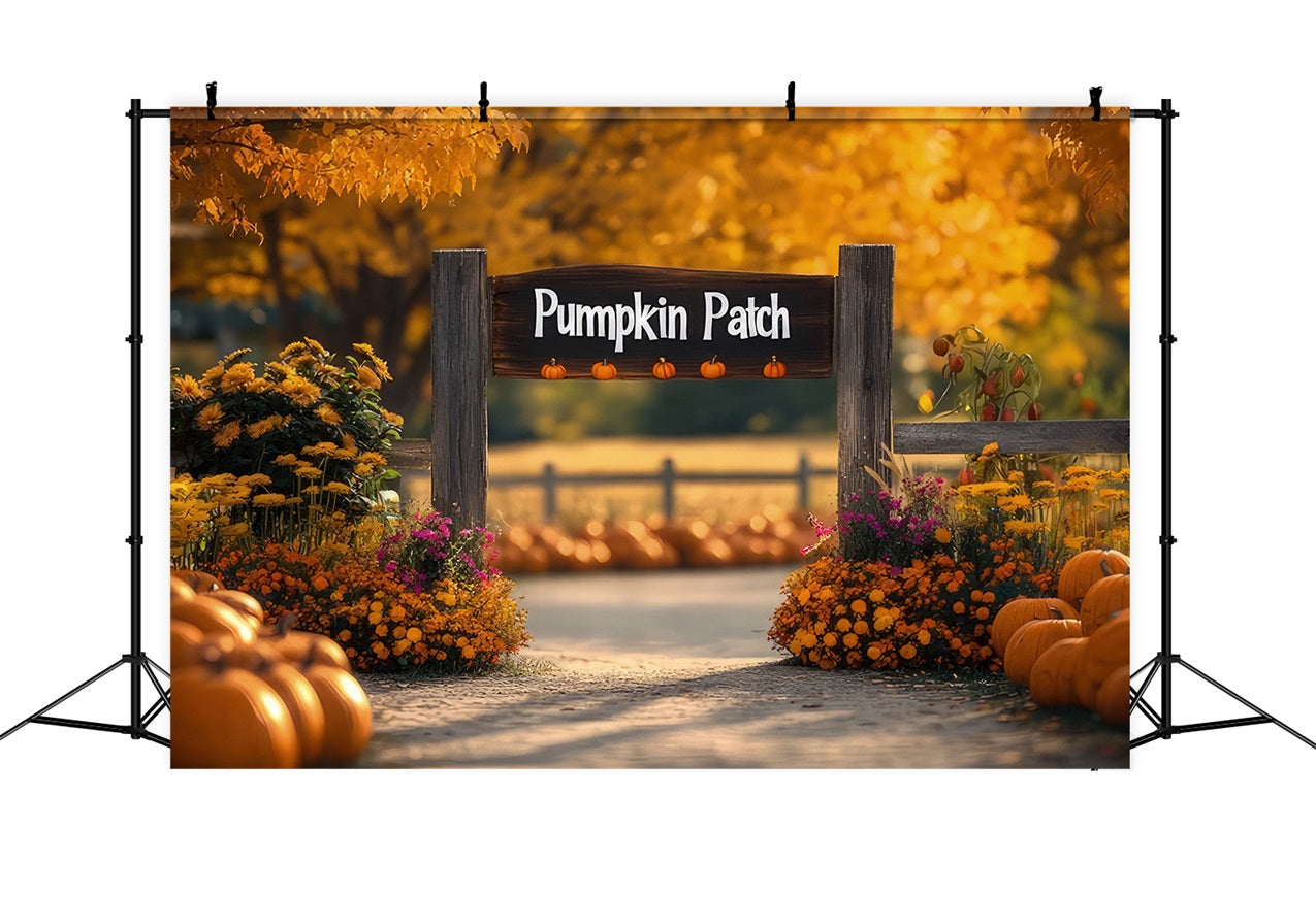 Sfondo A Tema Autunnale Fiori Zucca Patch Sfondo BRP10-244