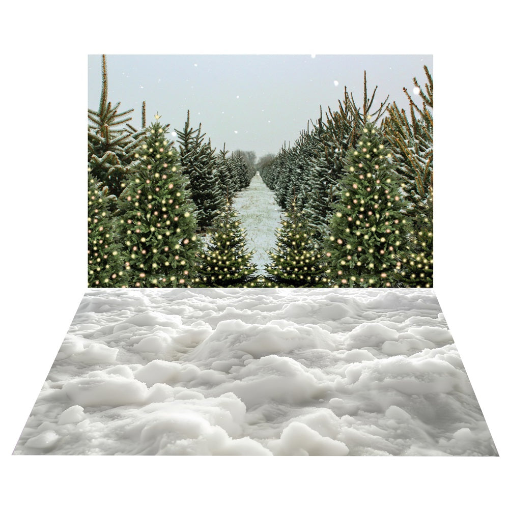 Sfondo Del Sentiero Forestale Sempreverde Invernale+Sfondo Del Pavimento Con Strato Di Neve BRP10-467
