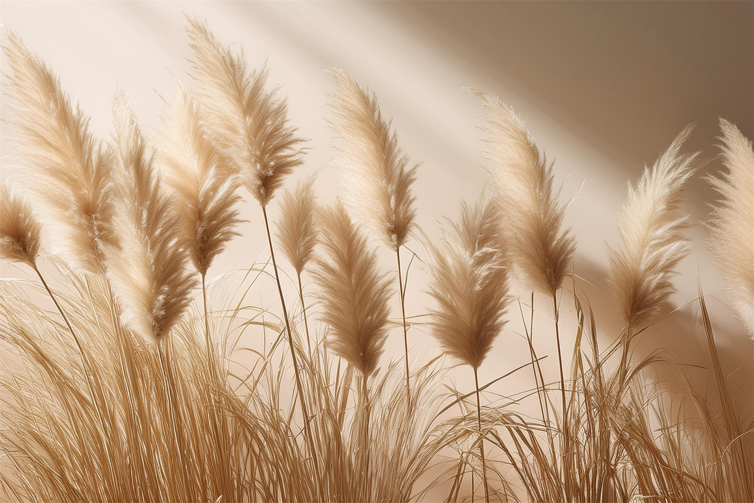 Semplice Sfondo Boho Soft Pampas Decor BRP10-72