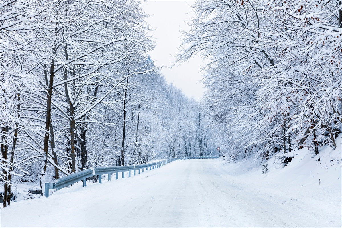 Sfondo Fotografico Invernale Strada Che Conduce Alla Foresta Gelida BRP11-10
