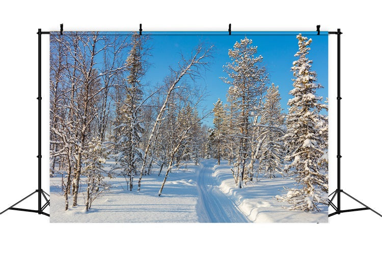 Sfondo Fotografico Invernale Sfondo Foresta Innevata Cielo Limpido BRP11-2