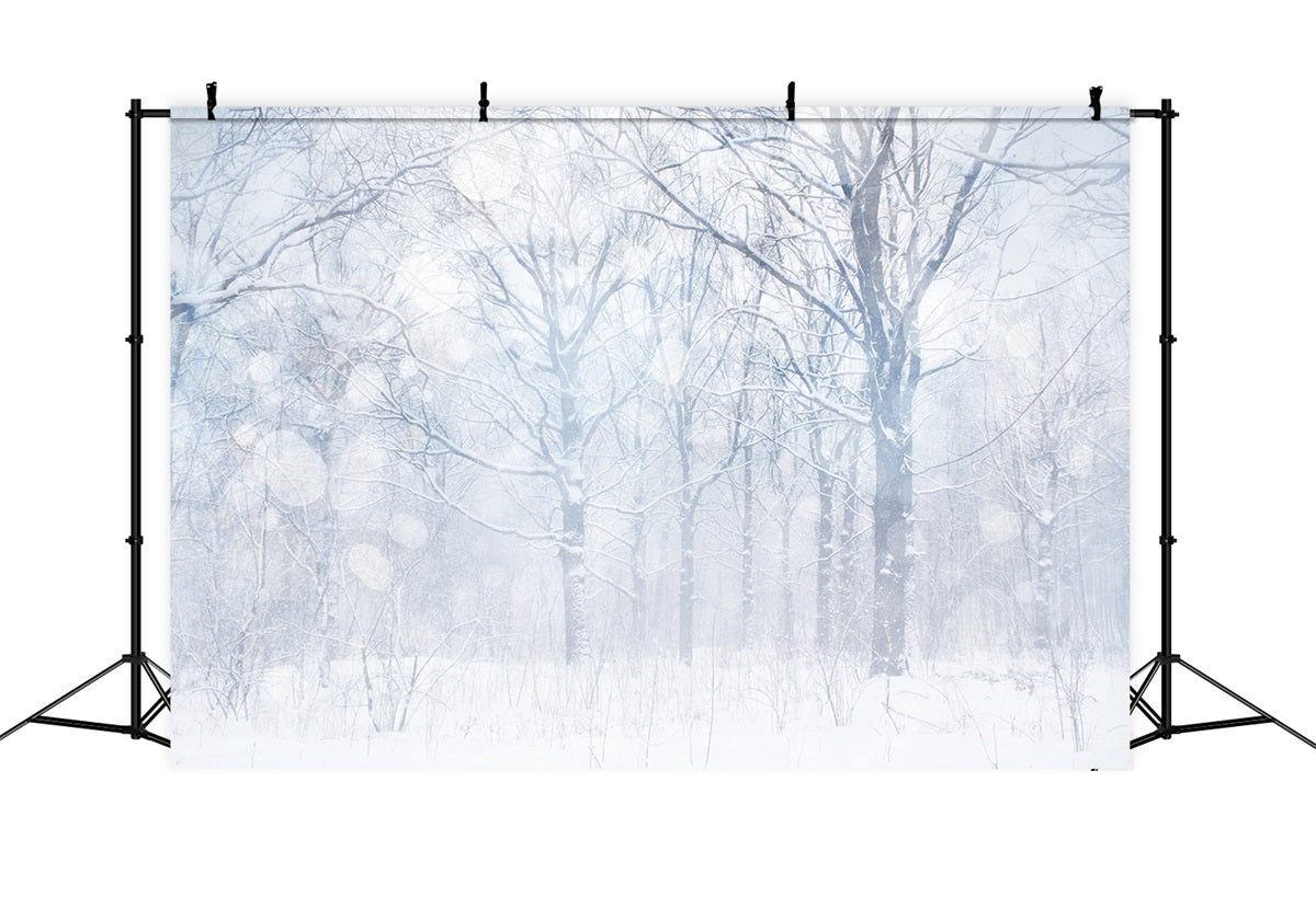Sfondo Fotografico Invernale Sfondo Boschetto Smerigliato Bianco Argenteo BRP11-21