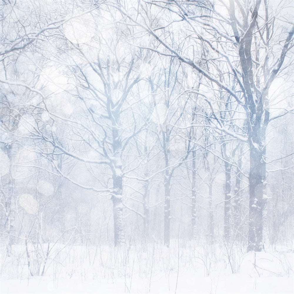 Sfondo Fotografico Invernale Sfondo Boschetto Smerigliato Bianco Argenteo BRP11-21