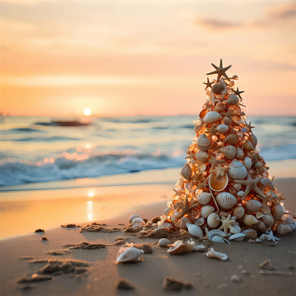 Sfondo Per Lo Sfondo Di Conchiglie Al Tramonto Sulla Spiaggia Di Natale BRP11-226