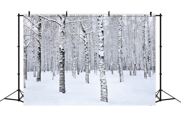 Sfondo Fotografico Invernale Con Alberi Di Betulla Paesaggio Innevato BRP11-26