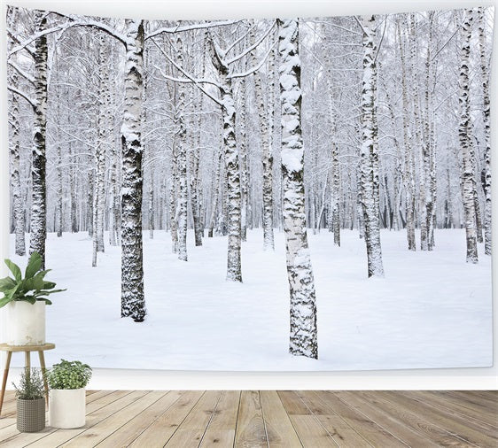 Sfondo Fotografico Invernale Con Alberi Di Betulla Paesaggio Innevato BRP11-26