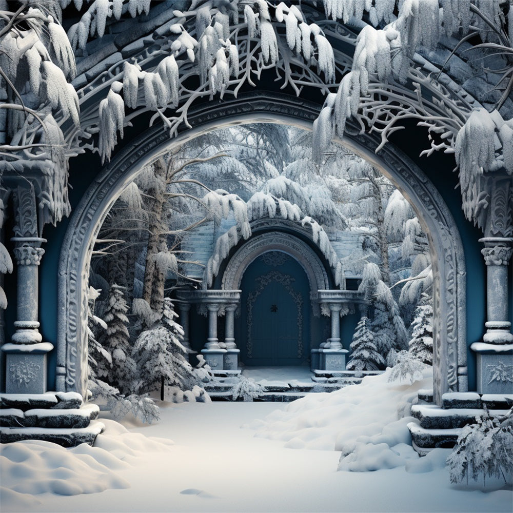 Sfondo Fotografico Scena Invernale Sfondo Di Rovine Di Castello Arco BRP11-263