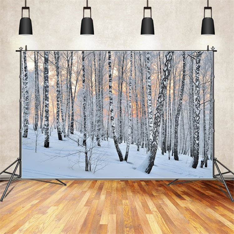 Sfondo Fotografico Invernale Sfondo Della Foresta Di Betulle Al Crepuscolo Pacifico BRP11-27