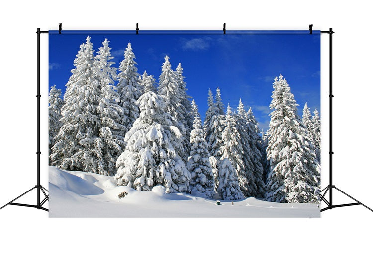 Sfondo Invernale Alberi Smerigliati Sfondo Cielo Vibrante BRP11-3