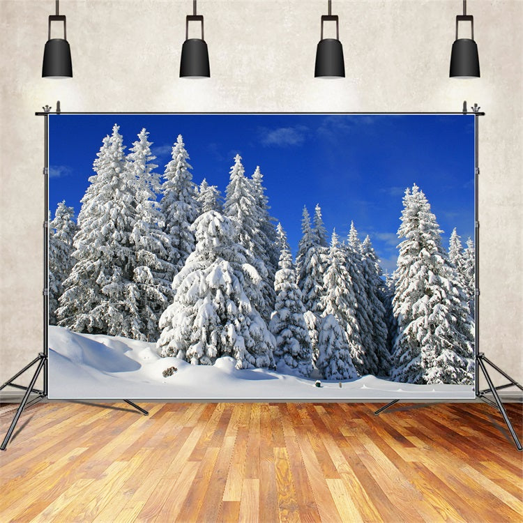 Sfondo Invernale Alberi Smerigliati Sfondo Cielo Vibrante BRP11-3