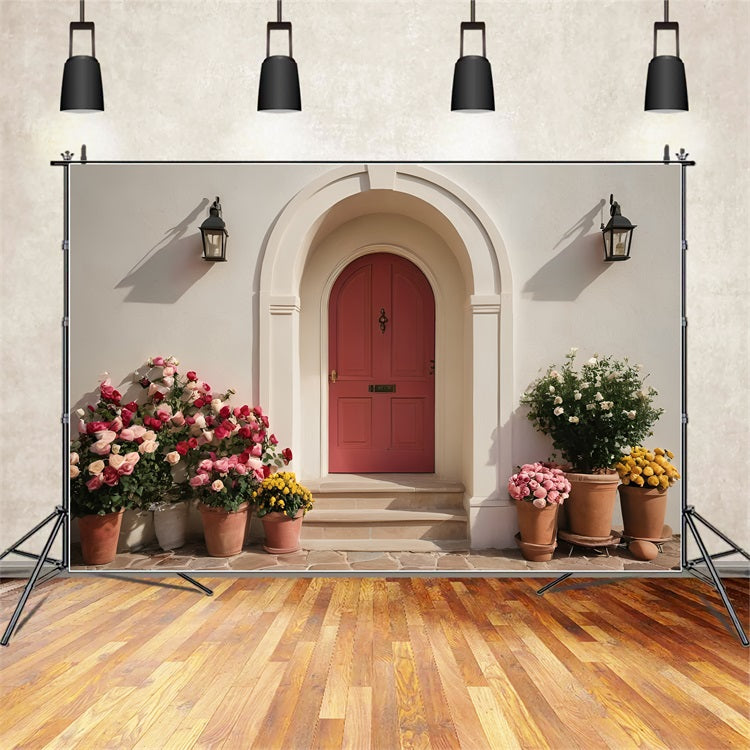 Sfondo Per Foto Di San Valentino Porta Con Fiori In Vaso Vivaci Sullo Sfondo BRP11-394