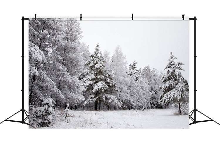 Fondali Invernali Paesaggio Innevato Rami Ghiacciati Sfondo BRP11-4