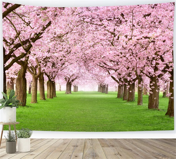 Fondali Fotografici Primaverili Sfondo Panoramico Cherry Blossom Pathway BRP11-514