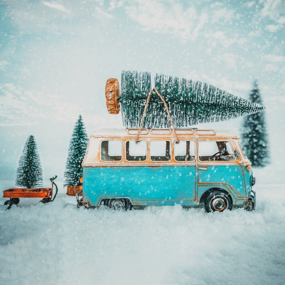 Sfondo Invernale Fotografia Vintage Van Snowy Path Fondale BRP11-55