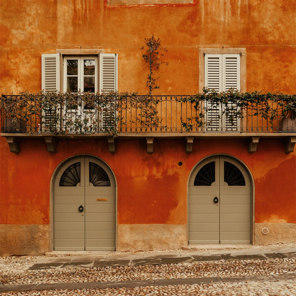 Fondali Fotografia Vintage Porte Ad Arco Finestre Con Persiane Sfondo Muro BRP11-590