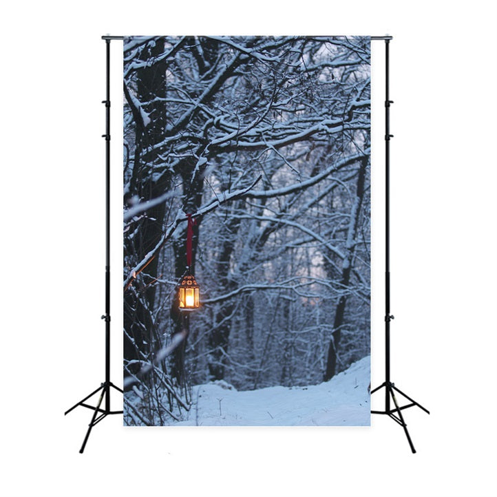 Fondali Invernali Fotografia Lanterna Luminosa Sfondo BRP11-64