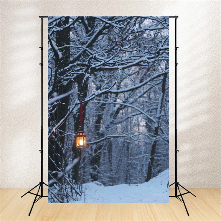 Fondali Invernali Fotografia Lanterna Luminosa Sfondo BRP11-64