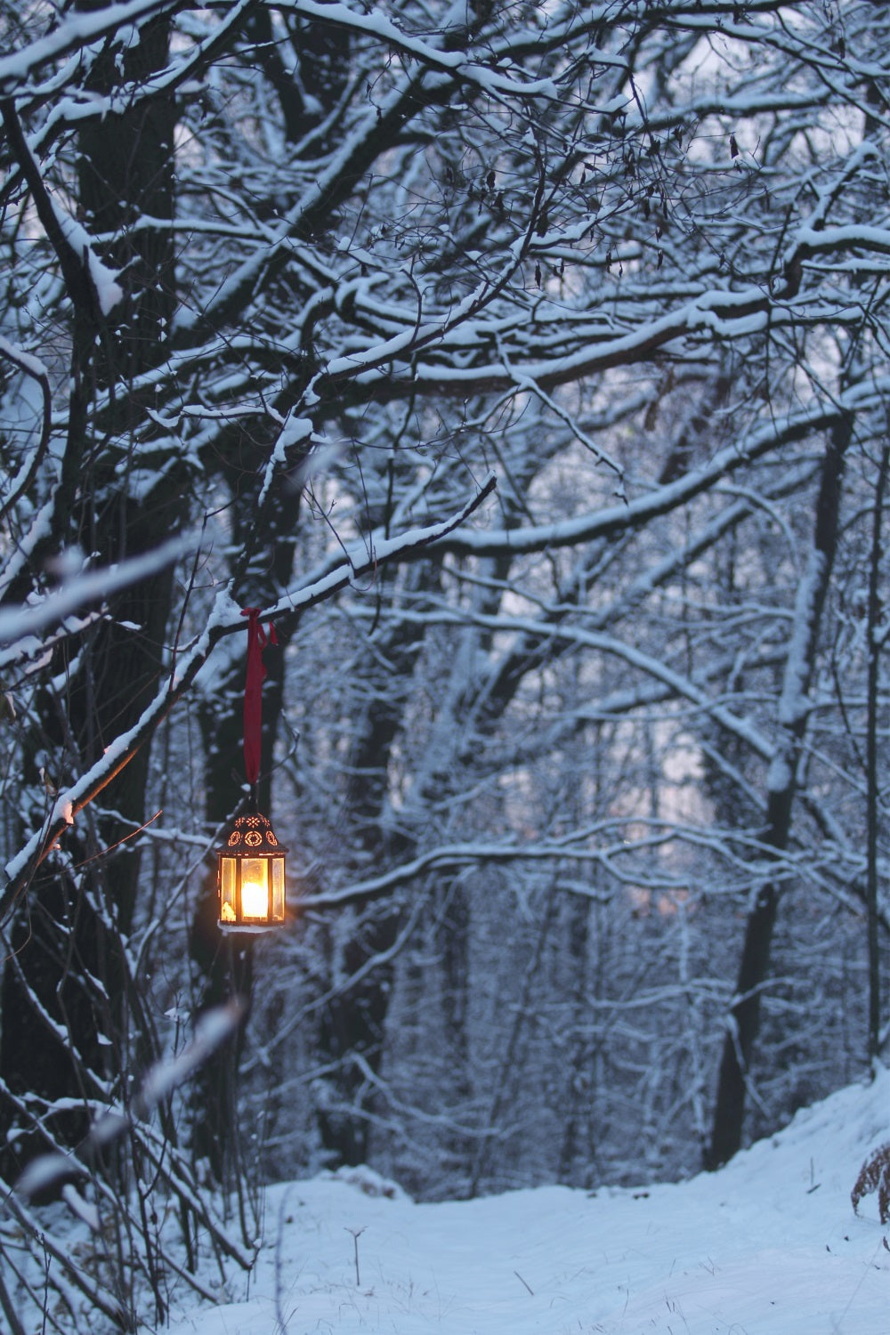 Fondali Invernali Fotografia Lanterna Luminosa Sfondo BRP11-64