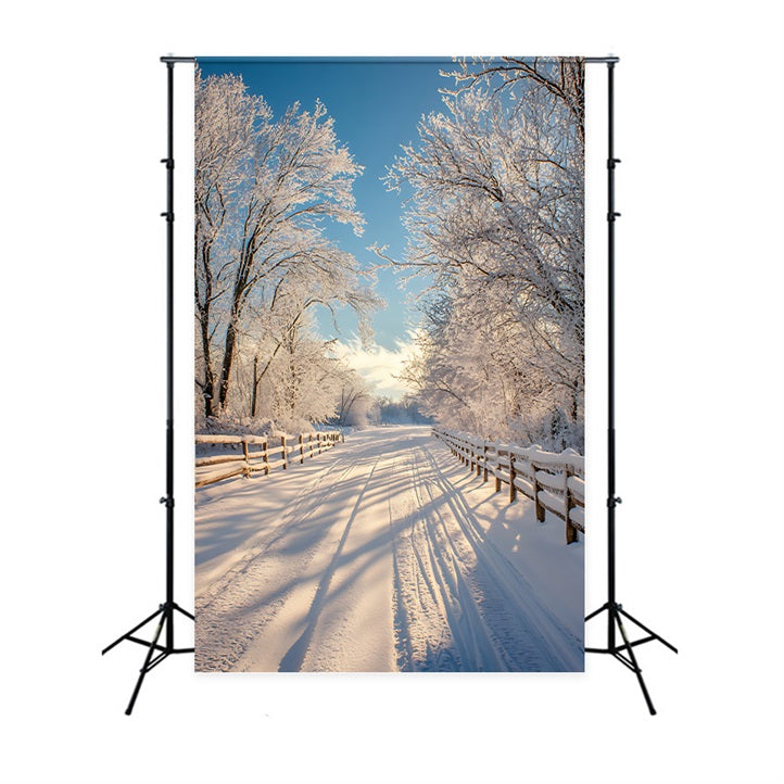 Sfondo Fotografico Invernale Paesaggio Incantato Sfondo Con Sentiero Innevato BRP11-67