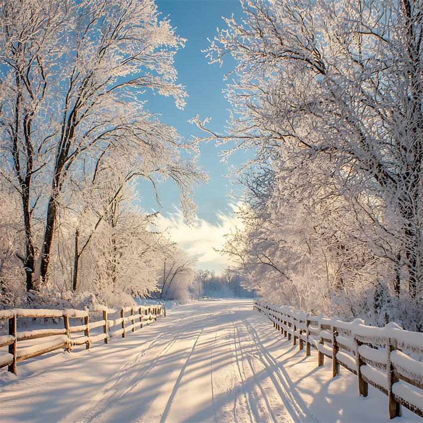 Sfondo Fotografico Invernale Paesaggio Incantato Sfondo Con Sentiero Innevato BRP11-67