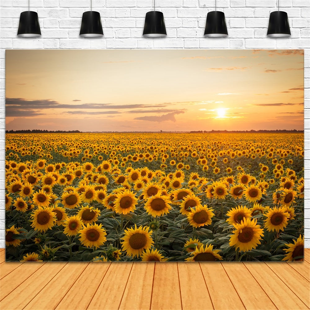 Sfondo Fotografico Tramonto Girasole Autunnale BRP7-118