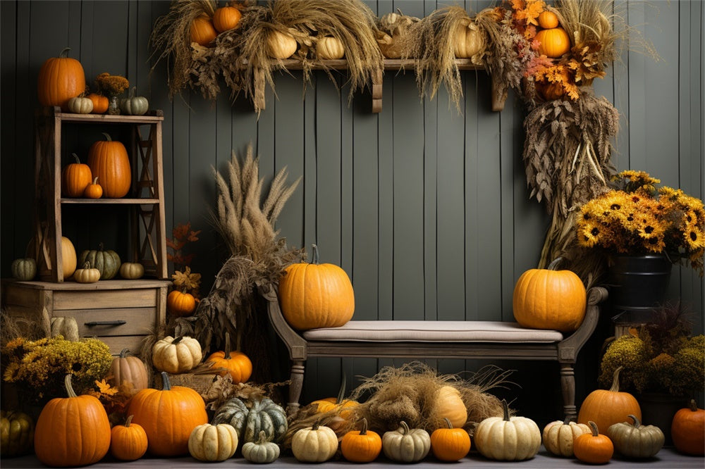 Sfondo Fotografico Con Canna Di Zucca Autunnale BRP7-127