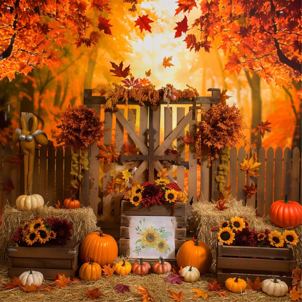 Sfondo Di Zucca Recinto Di Foresta Di Acero Autunnale BRP7-135