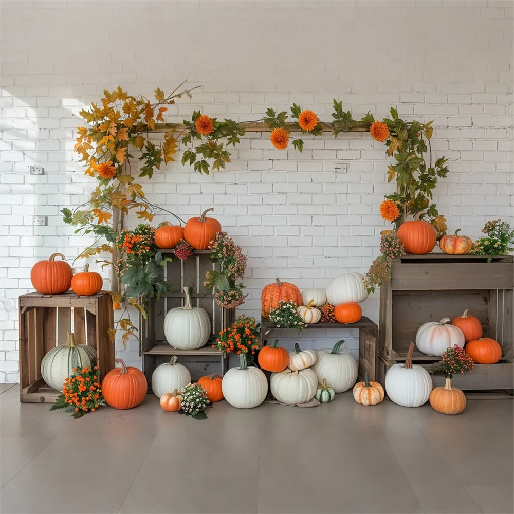 Mensola Zucca Autunnale Sfondo Bianco Da Parete BRP7-141