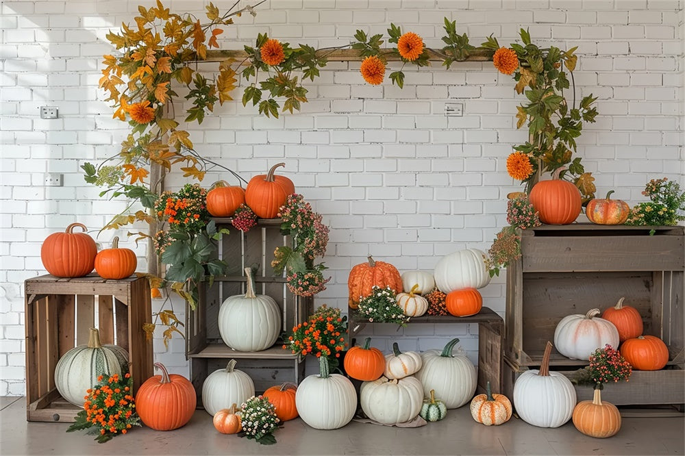 Mensola Zucca Autunnale Sfondo Bianco Da Parete BRP7-141