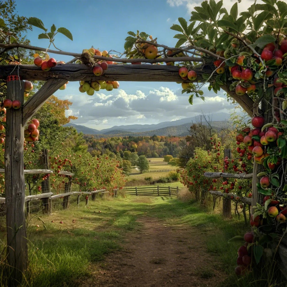 Sfondo Fotografico Autunnale Della Fattoria Delle Mele BRP7-143
