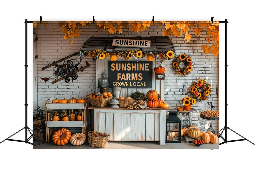 Sfondo Del Mercato Autunnale Delle Zucche BRP7-158