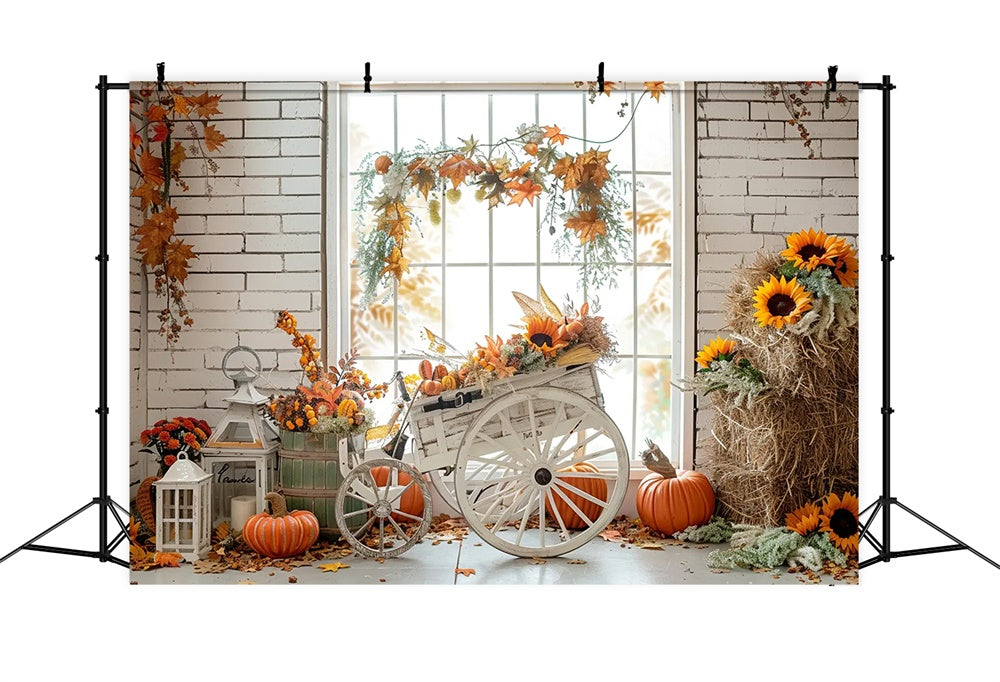 Sfondo Triciclo Autunno Paglia Zucca Foglia D'Acero BRP7-163