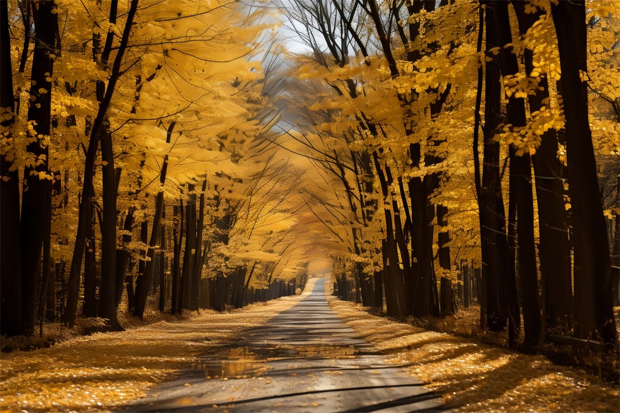 Sfondo Dorato Del Sentiero Autunnale Per La Fotografia BRP7-202