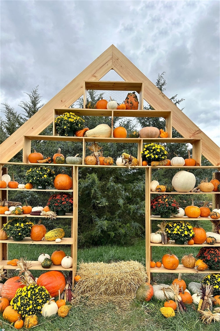 Sfondo Autunnale Con Visualizzazione Di Zucca Rustica BRP7-208