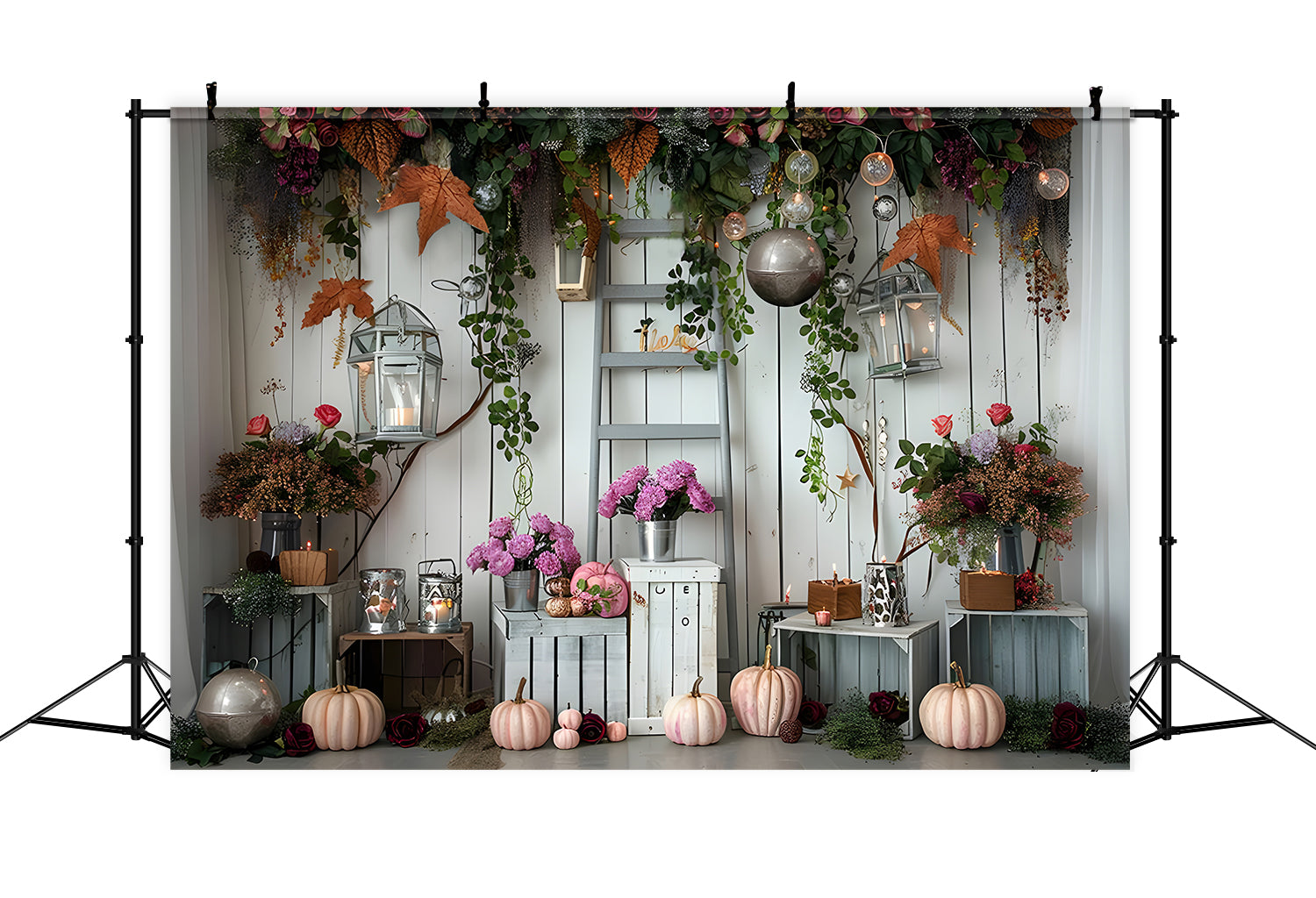 Sfondo Chiaro Di Fiori Di Zucca Autunnali BRP7-87