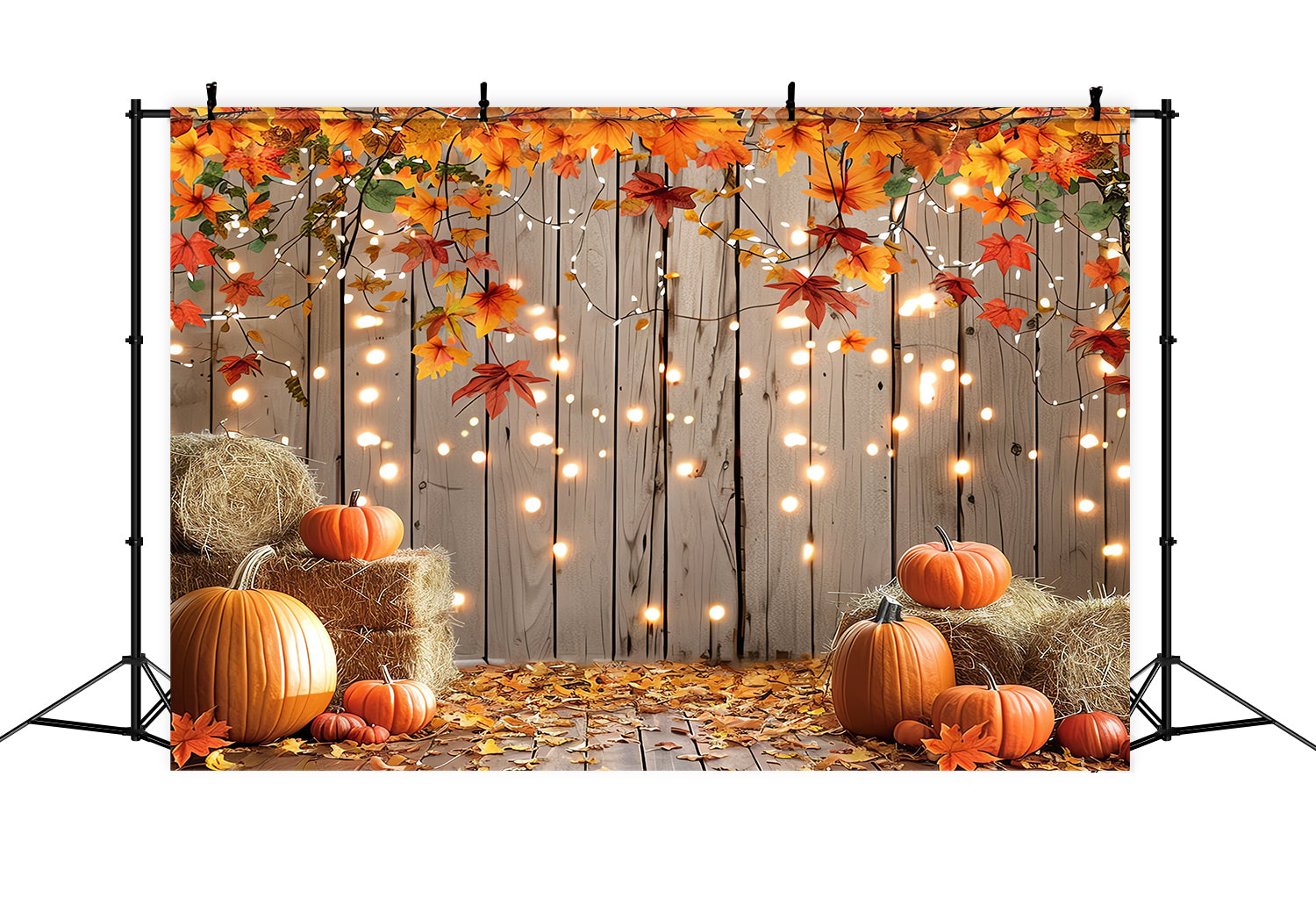 Sfondo Del Raccolto Di Zucca Autunnale BRP7-98