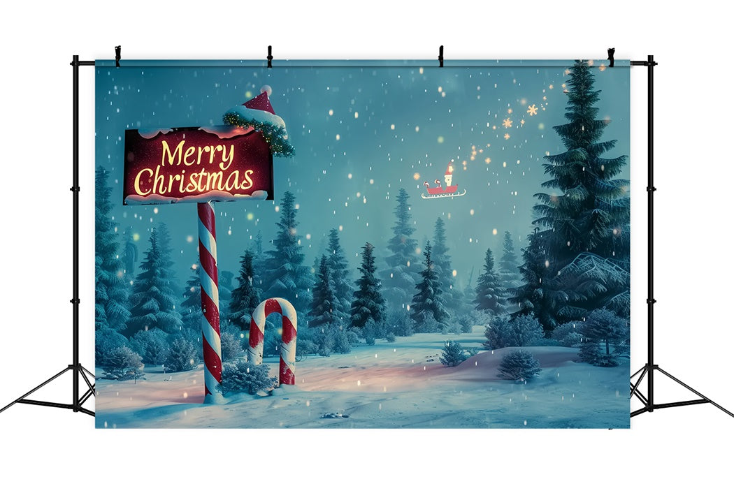Sfondo Della Scena Magica Della Foresta Di Natale BRP8-16