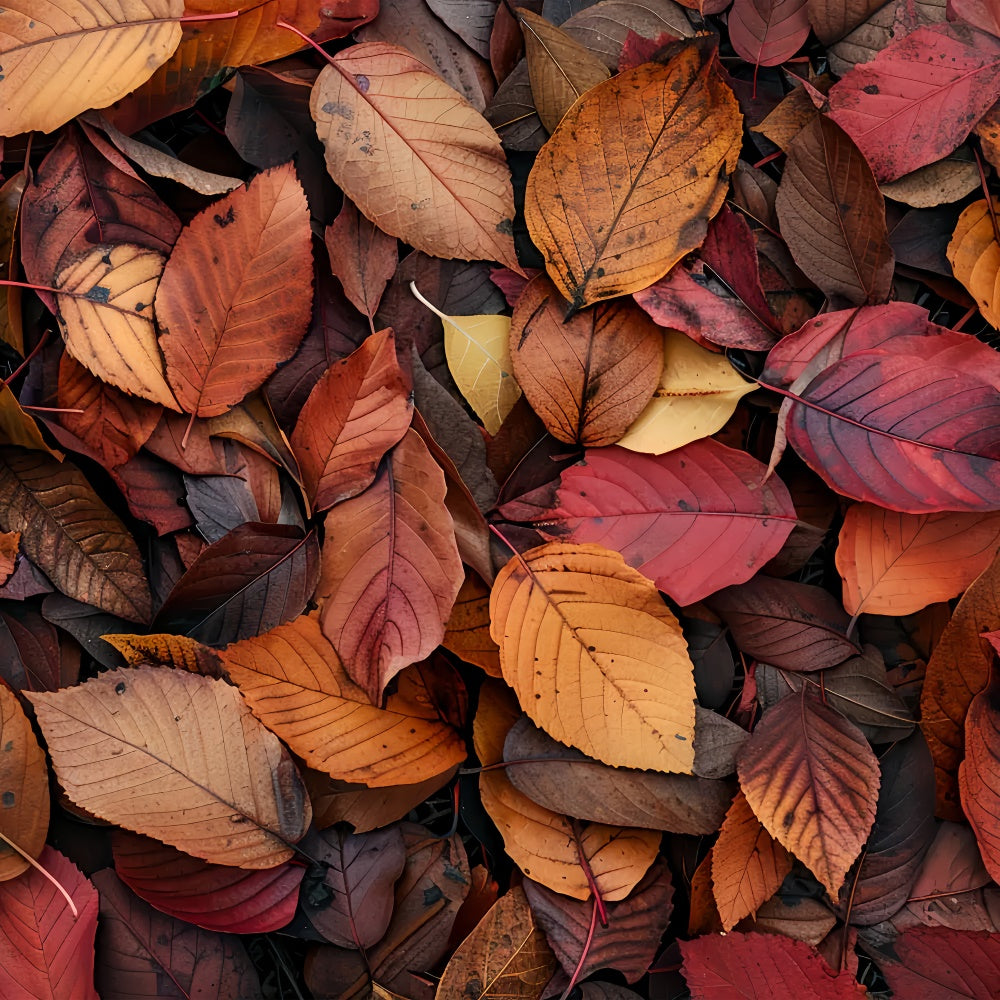 Sfondo Del Pavimento Autunnale Con Foglie Rosso Intenso E Arancione BRP8-286