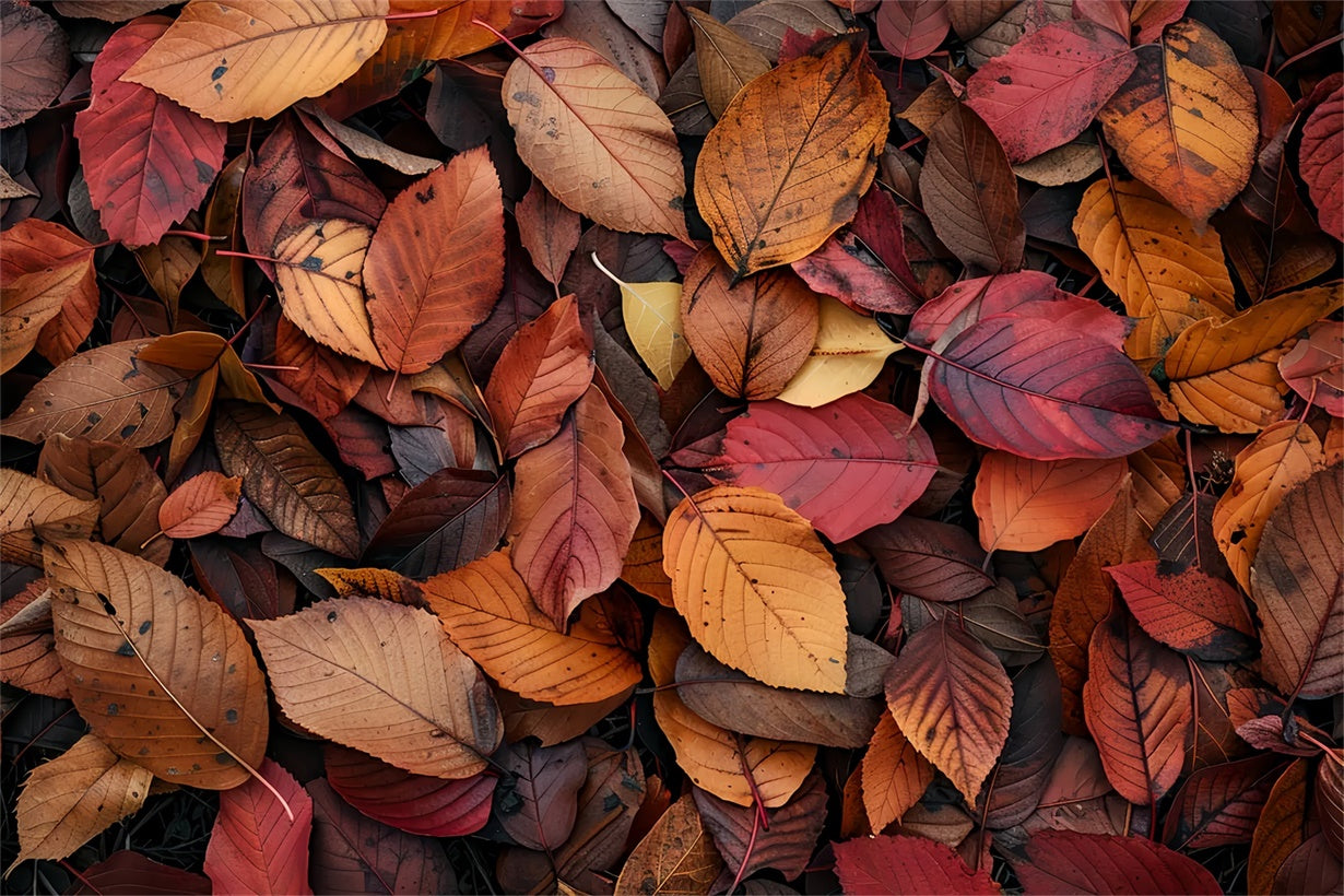 Sfondo Del Pavimento Autunnale Con Foglie Rosso Intenso E Arancione BRP8-286