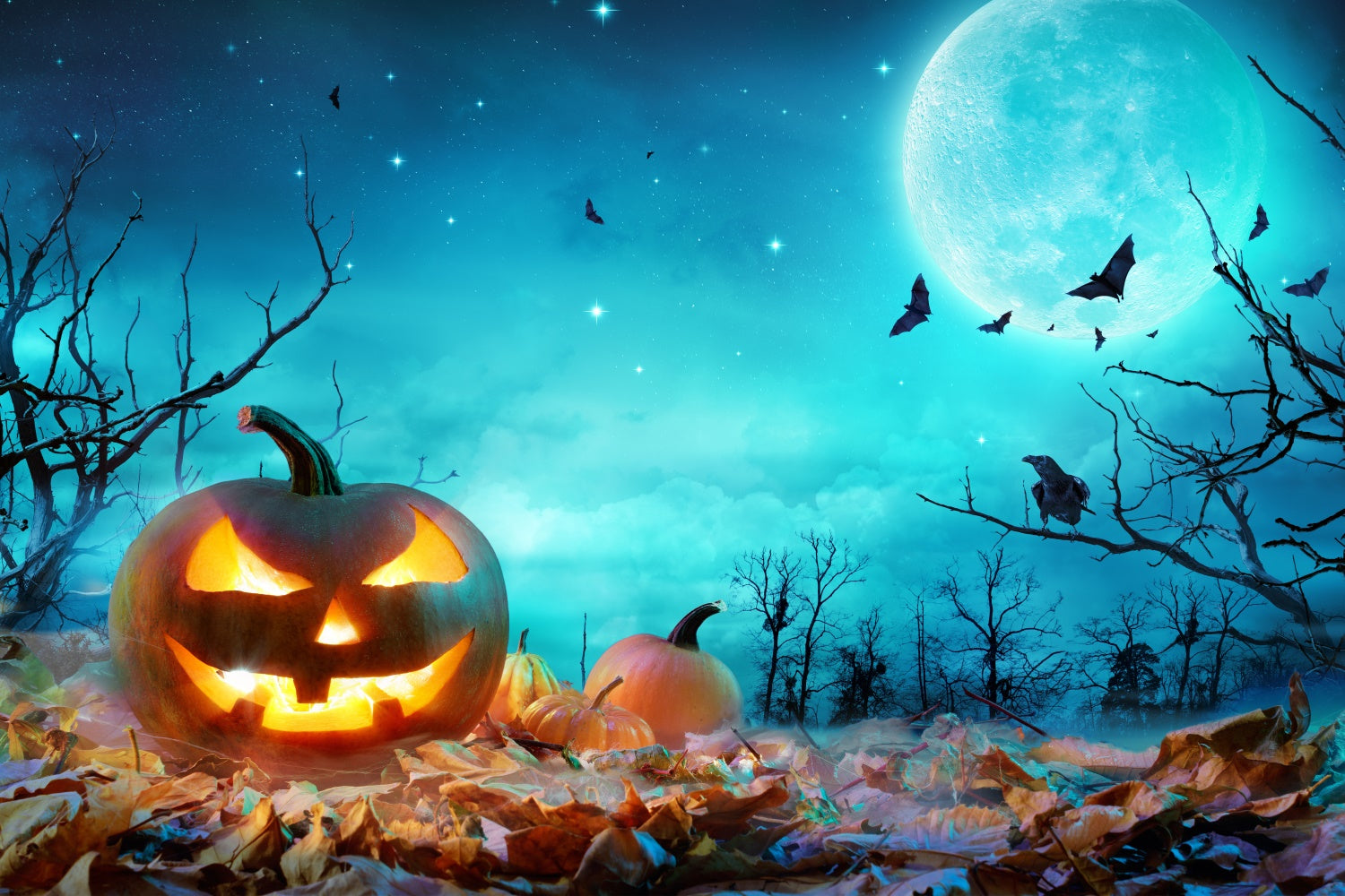 Scena Di Halloween Al Chiaro Di Luna Blu Con Sfondo Di Zucche BRP8-352