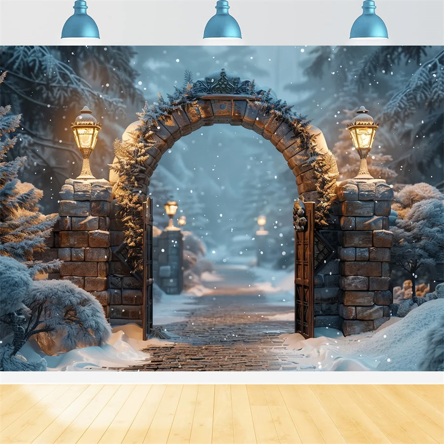 Sfondo Dell'Arco Della Foresta Mistica Di Natale BRP8-59