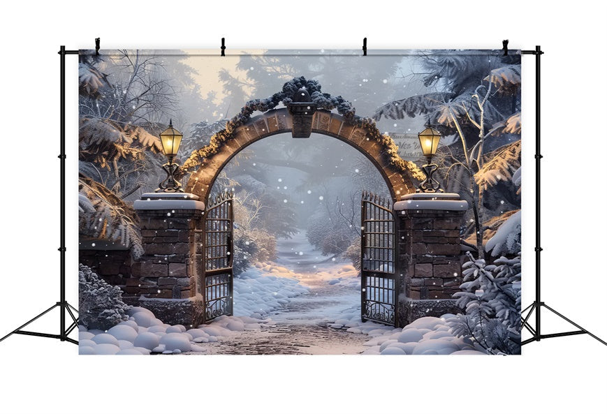 Sfondo Del Gateway Della Foresta Invernale Di Natale BRP8-60